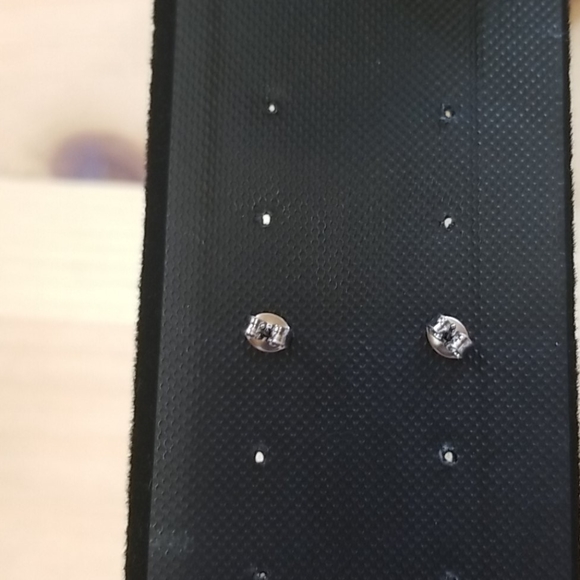 NEW Natural Ammonite Fossil Shell post earrings - Picture 3 of 5